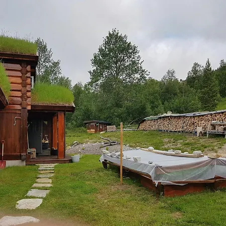 Experience Genuine Charm In Log *
